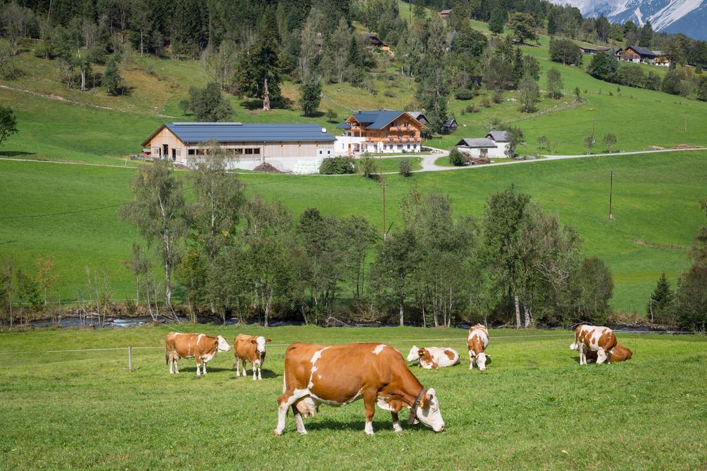 Rojerhof Villa Schladming Eksteriør bilde